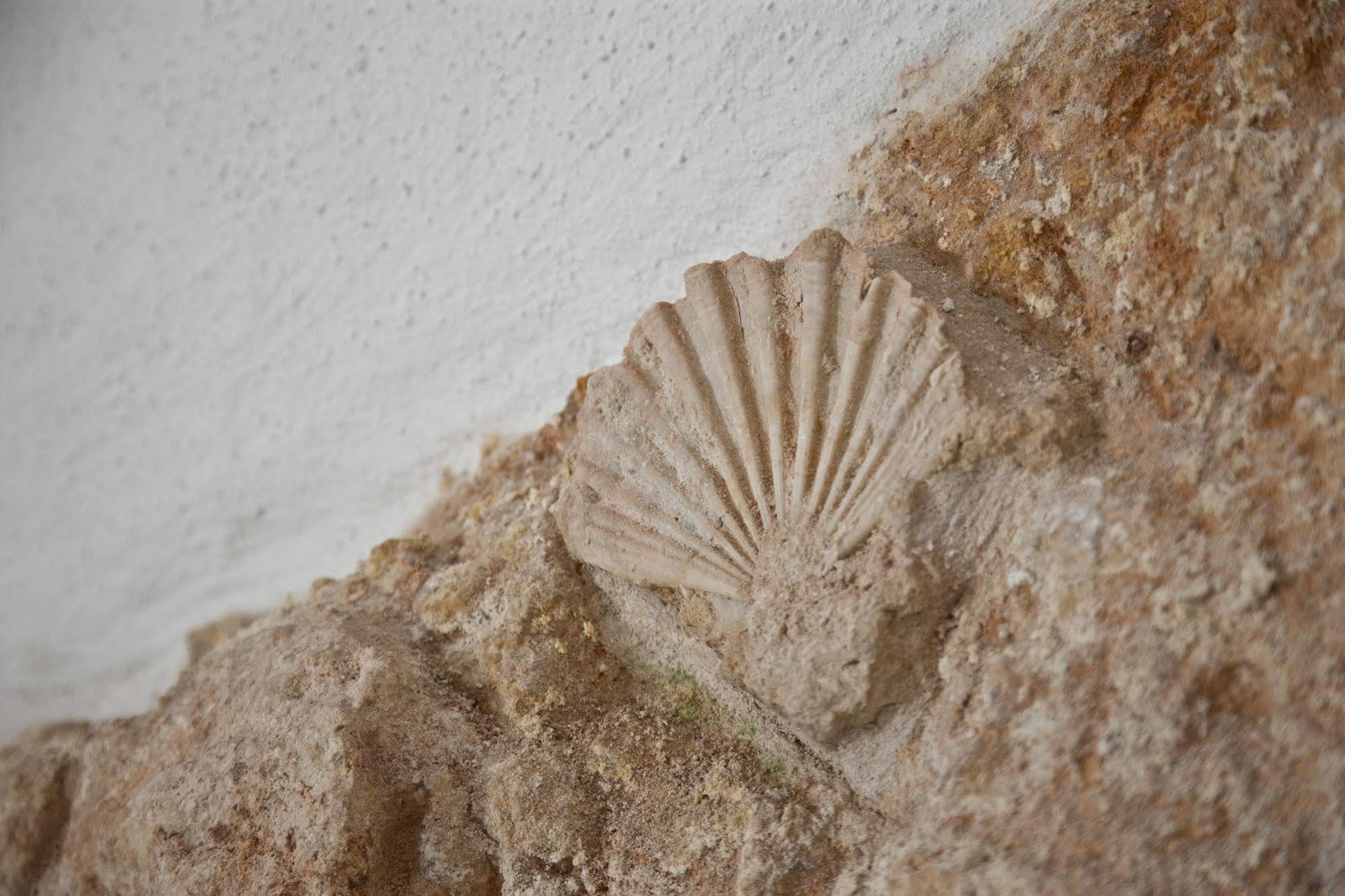 Grottammare Apartment Polignano a Mare Exterior photo